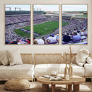 The Texas Christian University TCU Horned Frogs Football