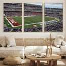 The Temple University Owls Athletics Team Print -