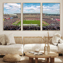 The Temple University Owls Athletics Team Print -