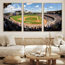 The Texas A&M University Aggies Athletics Team Print -