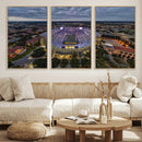 The Louisiana State University Tigers Football Team Print -