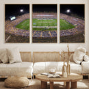 The University of Connecticut UCONN Huskies Football Team