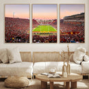 The University of Southern California USC Trojans Football by MyGreatCanvas | Canvas Wall Art Prints | Photo Prints & Wall Decor
