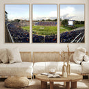 The Duke University Blue Devils Football Team Print - Durham