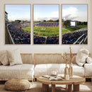 The Duke University Blue Devils Football Team Print - Durham