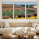 Puskar Stadium Canvas Print Wall Art - Morgantown Print -