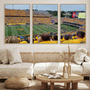 Puskar Stadium Canvas Print Wall Art - Morgantown Print -