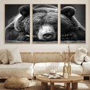 Resting Grizzly 399 Bear Canvas Print | Ready to Hang Wall by MyGreatCanvas | Canvas Wall Art Prints | Photo Prints & Wall Decor