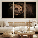Wild Grizzly 399 Bear Canvas Wall Art Print, Bear Animal by MyGreatCanvas | Canvas Wall Art Prints | Photo Prints & Wall Decor