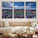 Air Force Falcons Football Team Print - Colorado Springs