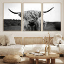 Highland Cow Wall Art | Black and White Farmhouse Decor |