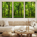 Lush Green Forest Canvas Print | 3-Panel Forest Wall Art |