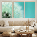 DANDELION Flower Wall Art Canvas Print, Canvas Dandelion by MyGreatCanvas | Canvas Wall Art Prints | Photo Prints & Wall Decor