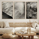 Elephant Wall Art Canvas Print
