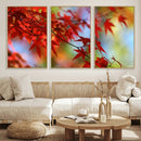 Red Leaves Autumn Forest Wall Art Canvas, Red Leaves Autumn by MyGreatCanvas | Canvas Wall Art Prints | Photo Prints & Wall Decor