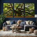 Angel Oak Tree Wall Art Canvas Print | Forest Tree Nature