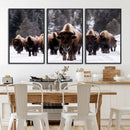 Bison Wall Art Canvas Print- Bison Herd Canvas Wall Art –