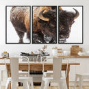 Bison Wall Art Canvas Print For Farmhouse, Wild Animal Wall by MyGreatCanvas | Canvas Wall Art Prints | Photo Prints & Wall Decor