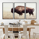 Bison in Field Wall Art Canvas Print For Farmhouse Barn