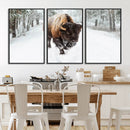 Bison Wall Art Canvas Print For Farmhouse, Animal Canvas