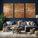 Tree Ring Canvas Art, Rustic Wood Grain Wall Art, Tree Slice