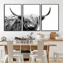 Black White Scottish Highland Cow Cattle Art Print Farmhouse