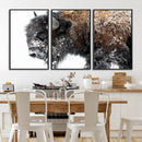 American Bison Wall Art Print – Majestic Buffalo Canvas