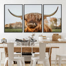 Highland Cow Animal Scottish Cattle Art Print Farmhouse Wall