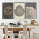 Boho Tree Ring Wall Art, Modern Minimalist Wood Grain