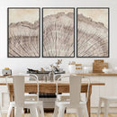 Tree Ring Wall Art Triptych, Rustic Wood Ring Canvas Print,
