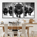 American Bison Art | Buffalo Herd Wall Art Canvas Print, BW