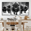 American Bison Art | Buffalo Herd Wall Art Canvas Print, BW