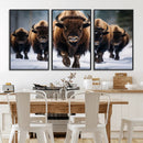 Buffalo Wall Art Canvas Print, American Bison Herd Wall Art by MyGreatCanvas | Canvas Wall Art Prints | Photo Prints & Wall Decor
