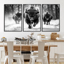 Buffalo Wall Art Canvas Print, Bison Family Wall Art Canvas by MyGreatCanvas | Canvas Wall Art Prints | Photo Prints & Wall Decor