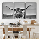 Texas Longhorn Cow Wall Art, Texas Longhorn Canvas, Cattle