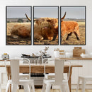 Highland Cow Canvas Wall Art Animal Print for Farm House