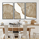 Rustic Brown Tree Ring Wall Art Canvas Print – Framed and