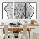 Rustic Tree Ring Wall Art Canvas Print – Framed and Ready to