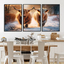 Scottish Highland Cow Horn Farm Wall Art Canvas Print