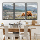 Highland Cow Horn Farm Wall Art Canvas Print