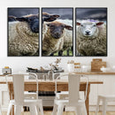 Charming Sheep Portrait Wall Art – Trio of Woolly Companions by MyGreatCanvas | Canvas Wall Art Prints | Photo Prints & Wall Decor