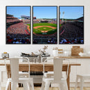Cincinnati Reds Baseball Canvas Print - American Ball