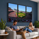 Cincinnati Reds Baseball Canvas Print - American Ball