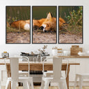Sleeping Fox Wall Art Canvas Print, Farmhouse Wall Decor and by MyGreatCanvas | Canvas Wall Art Prints | Photo Prints & Wall Decor