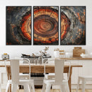 Wood Grain Canvas Wall Art - Framed Abstract Tree Ring