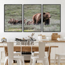 Wildlife Photography of 399 Grizzly Bear Cubs | Queen of the