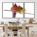 Cardinal Bird Canvas Wall Art - Male and Female Cardinal