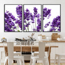 Lavender Flower Wall Art Canvas Print by MyGreatCanvas | Canvas Wall Art Prints | Photo Prints & Wall Decor