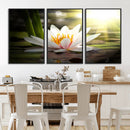 Lotus Flower Wall Art Canvas Print, Water Lily Large Wall