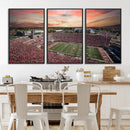 Indiana Memorial Stadium Wall Art Canvas Print, Framed